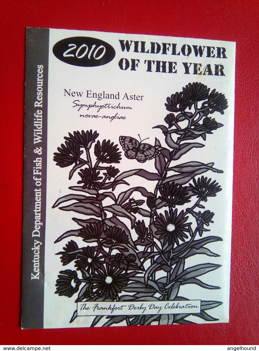 2010 Wildflower Of The Year - Autres & Non Classés