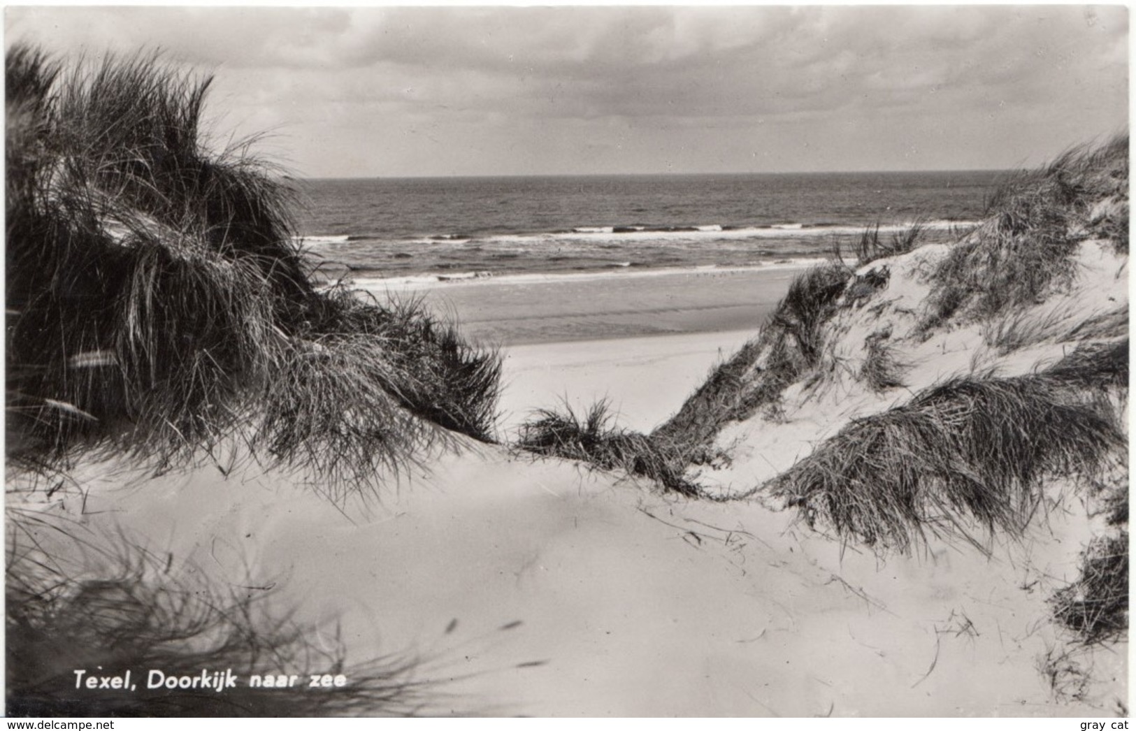 Texel, Doorkijk Naar Zee, Netherlands, Holland, 1961 Used Real Photo Postcard [21561] - Texel