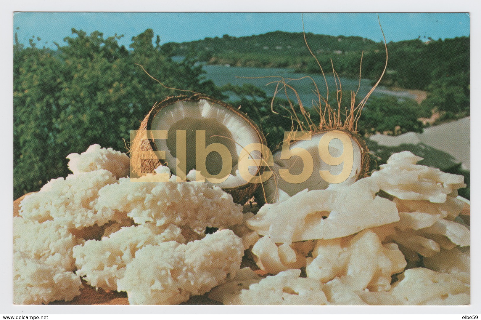 St. Lucia (Antilles) Coconut Candy And Sugar Cakes, A Speciality, Unused - Saint Lucia