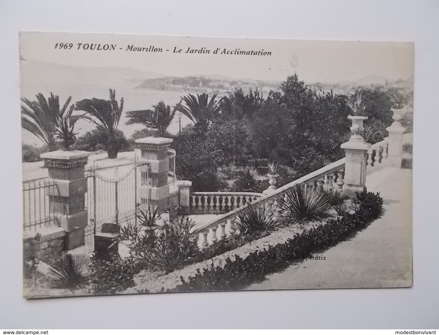 CPA 83 - TOULON, Mourillon- Le Jardin D'acclimatation  - Carte Originale NO REPRO, Dos Divisé - Toulon