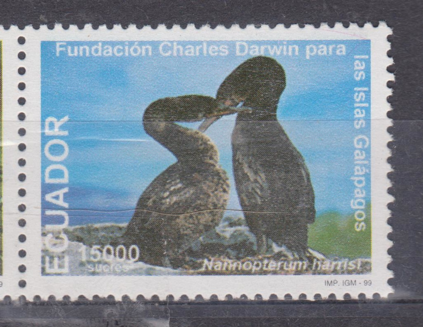 ECUADOR 1999 GALAPAGOS ISLANDS 40TH ANNIVERSARY OF CHARLES DARWIN FOUNDATION CORMORAN NO VOLADOR MNH SC# 1492 C. - Equateur