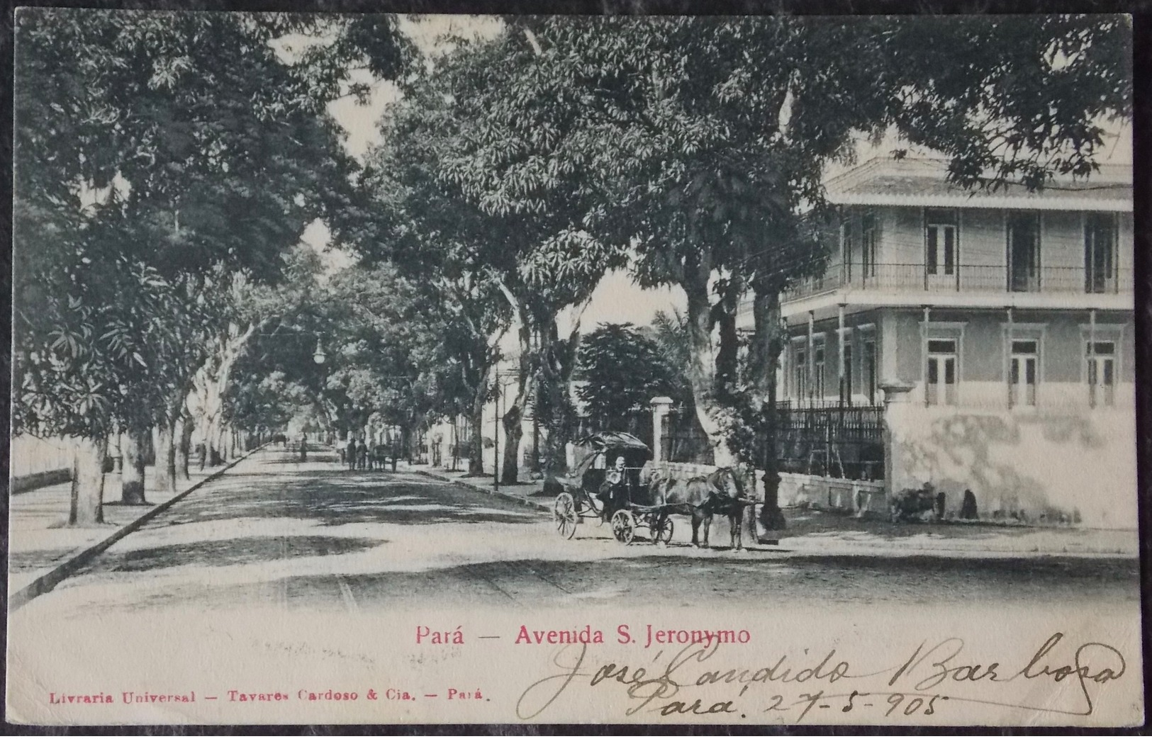 CPA Carte Postale Postcard - Brasil Brazil - PARA - 1905 Avenida S.Jeronymo - Horse Carriage - Belém