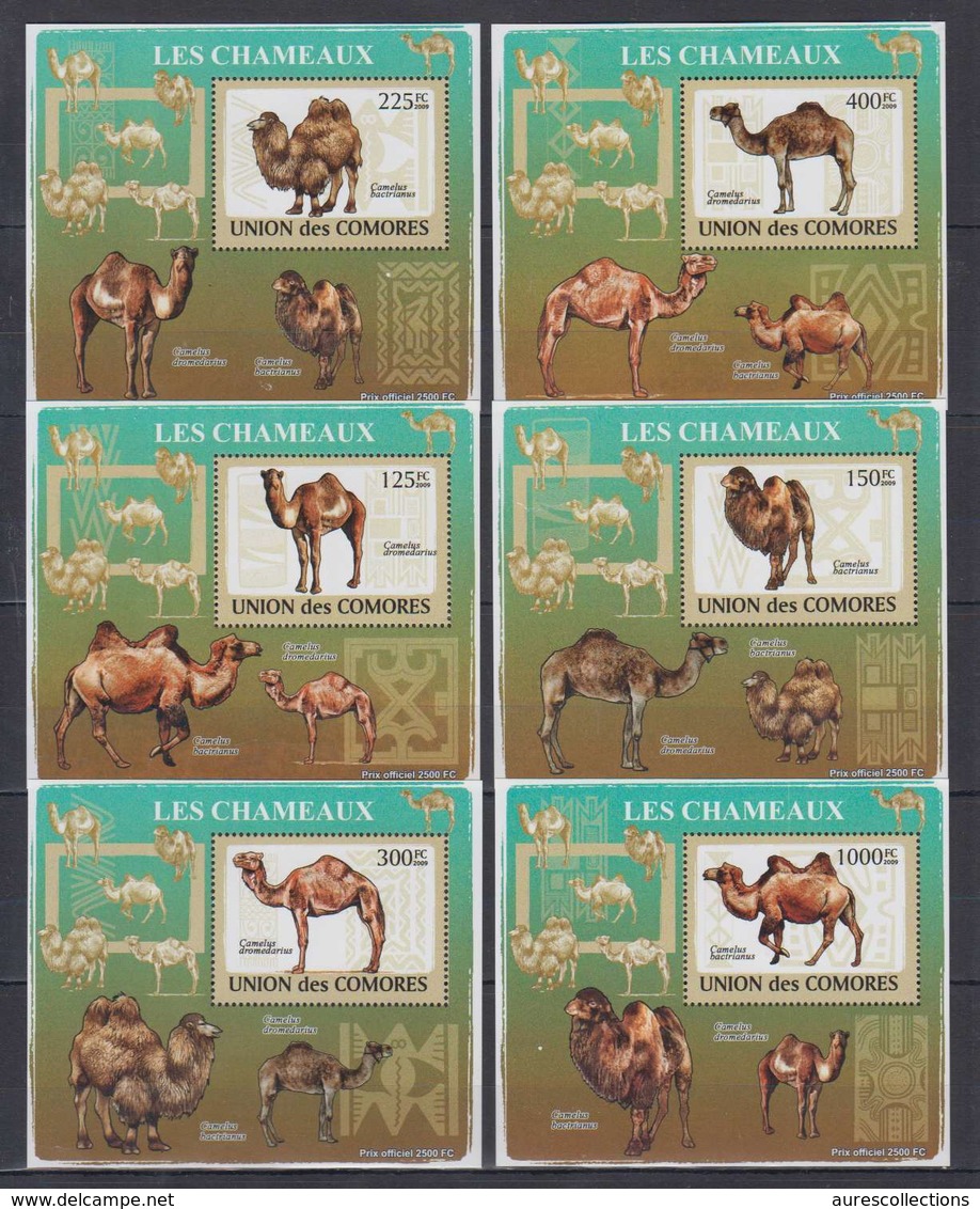 COMORES COMOROS 2009 6 DELUXE PROOFS PROOF EPREUVE EPREUVES DE LUXE - CAMELS CHAMEAUX CAMEL CHAMEAU - RARE MNH - Otros & Sin Clasificación