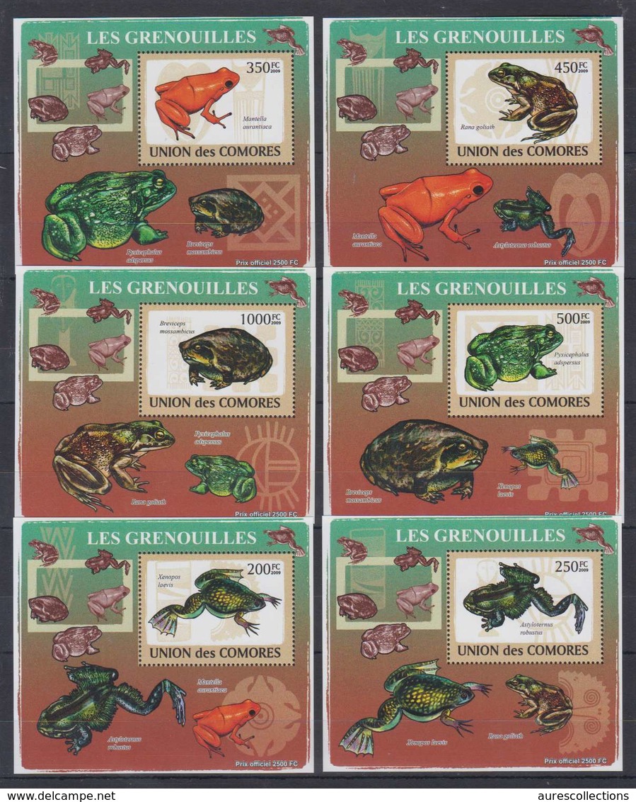 COMORES COMOROS 2009 6 DELUXE PROOFS PROOF EPREUVE EPREUVES DE LUXE - GRENOUILLE GRENOUILLES FROGS FROG - RARE MNH - Grenouilles