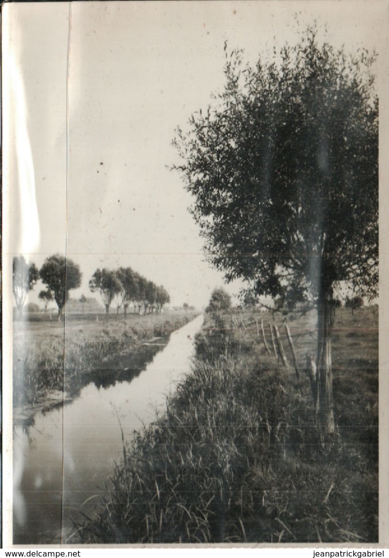 Zomergem Liefken - Zomergem