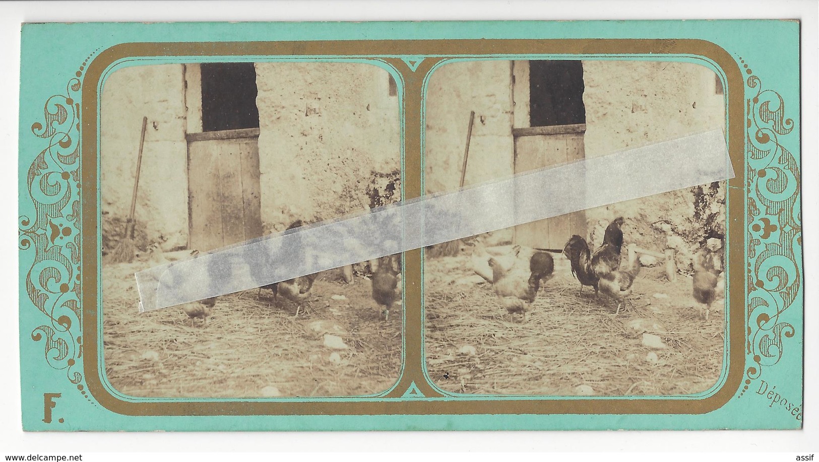 FRANCE COQ ET POULES Circa 1855 PHOTO STEREO /FREE SHIPPING REGISTERED - Stereoscoop