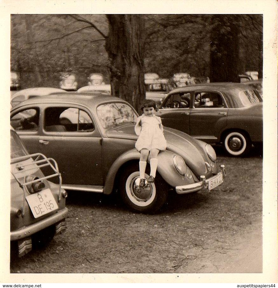 Photo Carrée Originale Monica Sur Volkswagen Beetle, Coccinelle, Käfer Pneus Flancs Blancs En 1963 - Automobiles