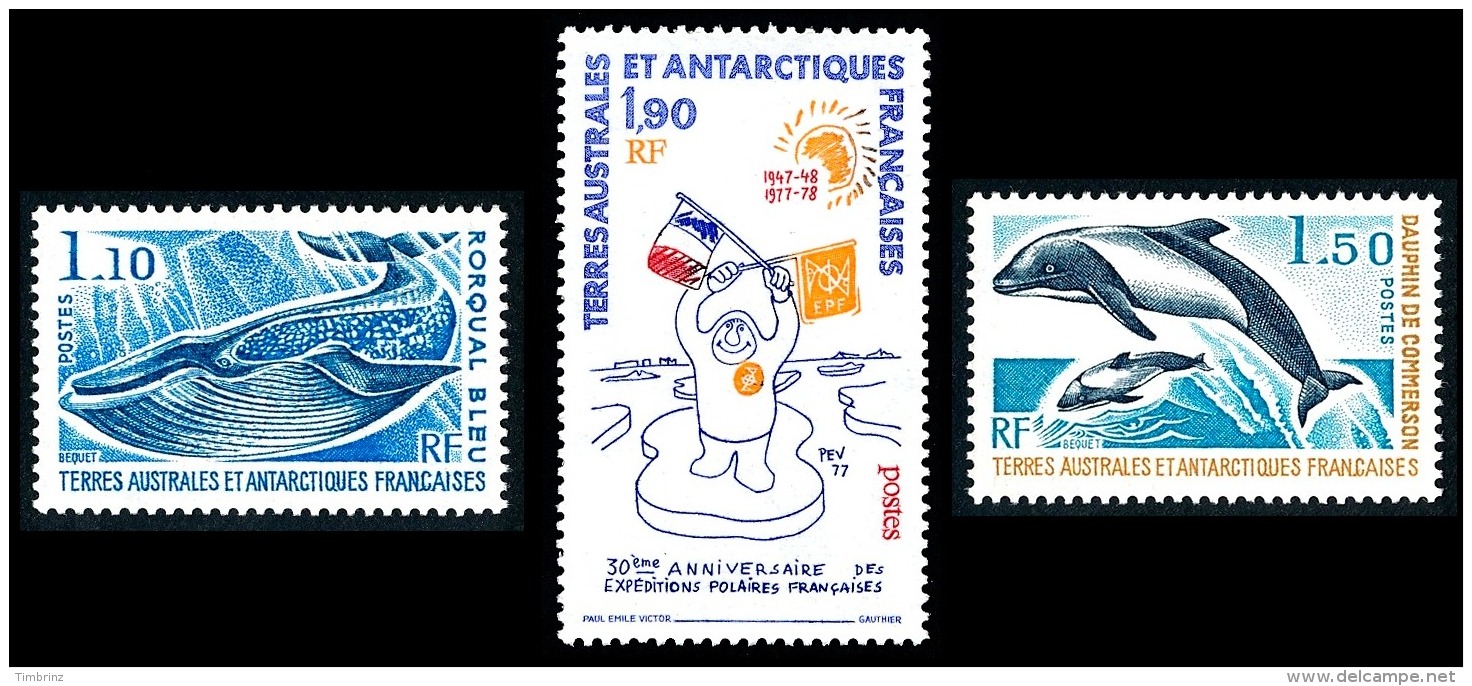 TAAF Année Complète 1977 + AVION - Yv. 64 à 73 + PA 48 à 50 ** MNH SUP  Cote= 69,40 EUR - 13 Timbres  ..Réf.TAF20893 - Años Completos