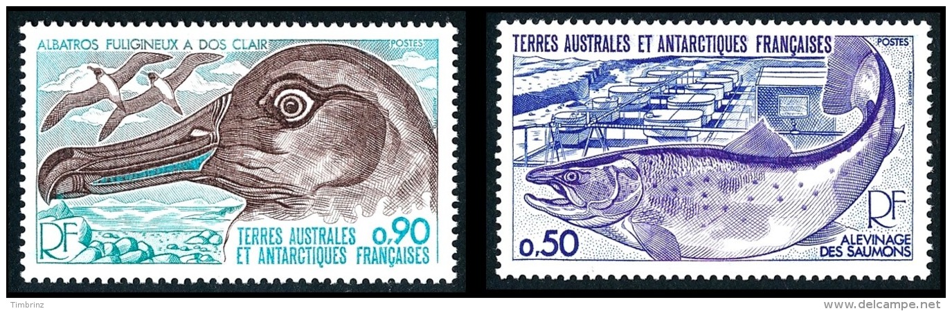 TAAF Année Complète 1977 + AVION - Yv. 64 à 73 + PA 48 à 50 ** MNH SUP  Cote= 69,40 EUR - 13 Timbres  ..Réf.TAF20893 - Años Completos