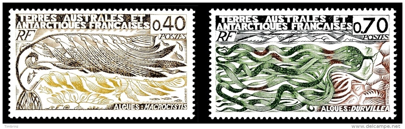 TAAF Année Complète 1977 + AVION - Yv. 64 à 73 + PA 48 à 50 ** MNH SUP  Cote= 69,40 EUR - 13 Timbres  ..Réf.TAF20893 - Años Completos