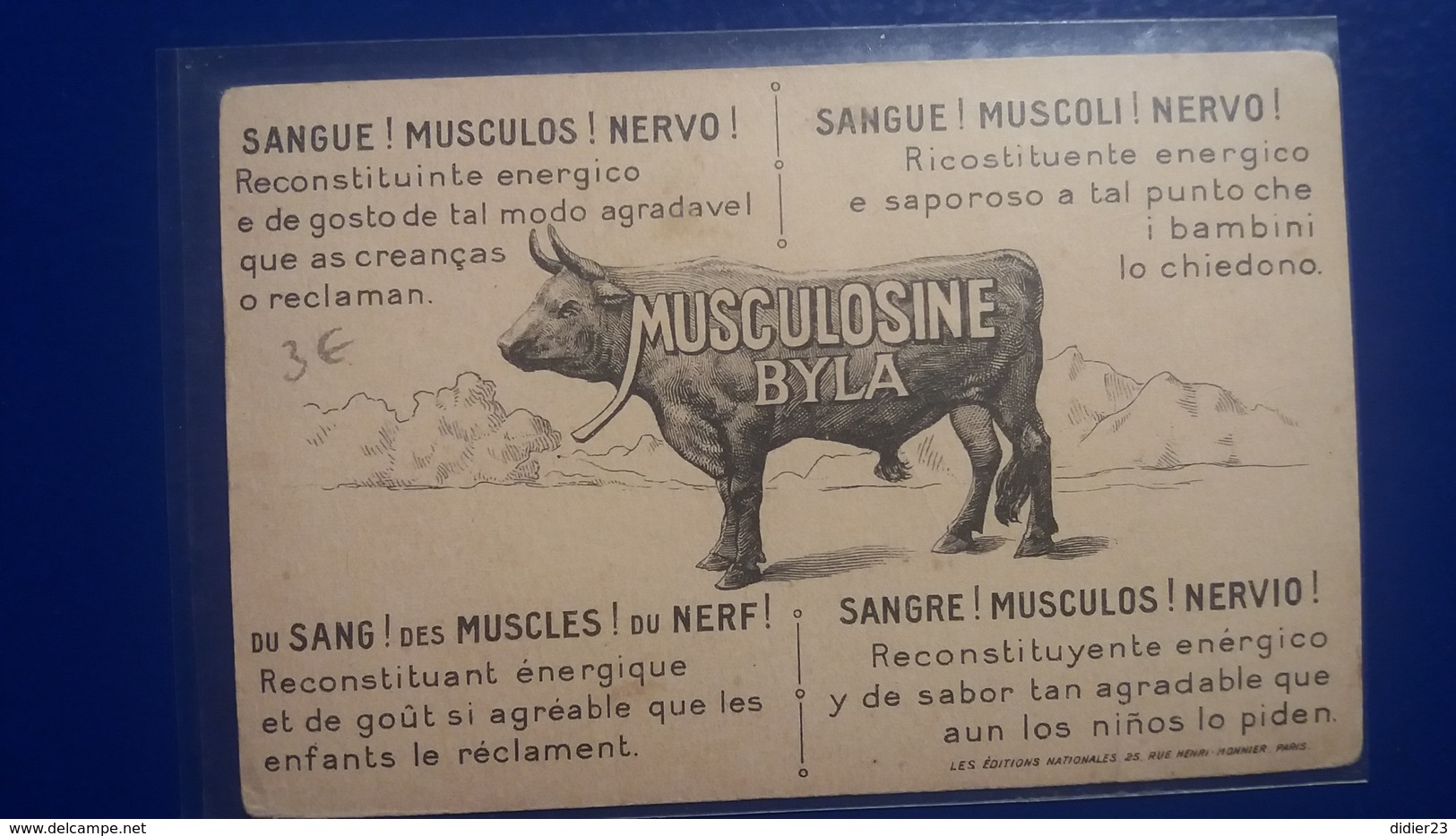 LESSIEUX EGYPTE MUSCULOSINE BYLA - Lessieux