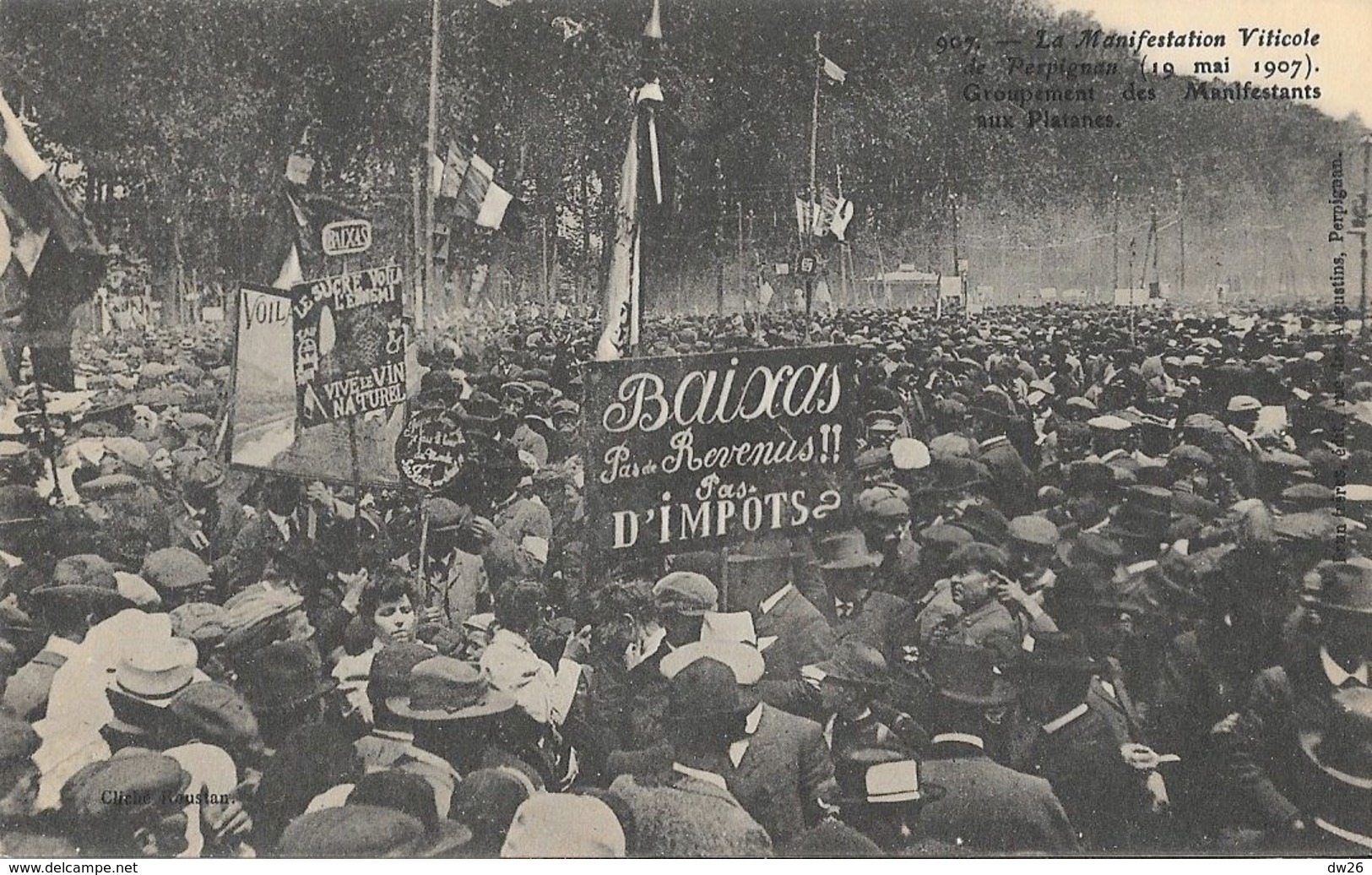 Manifestation Viticole, Perpignan Le 19 Mai 1907 - Manifestants Aux Platanes, Carte Non Circulée - Manifestations