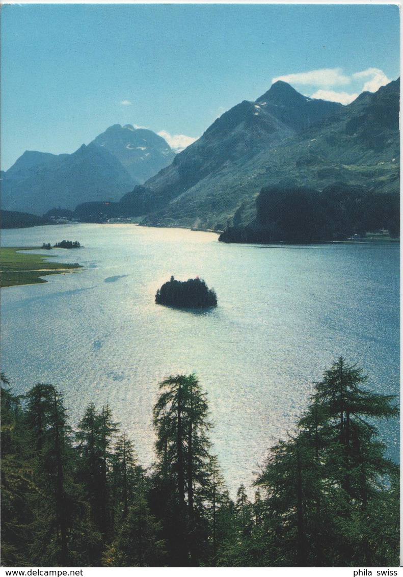 Sommertah über Dem Silsersee - Photo: Hans Steiner - Autres & Non Classés