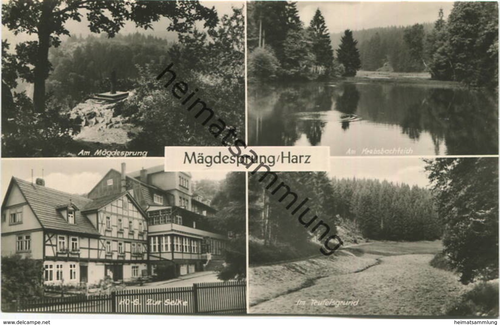 Mägdesprung - Foto-AK - Verlag VEB Bild Und Heimat Reichenbach - Harzgerode