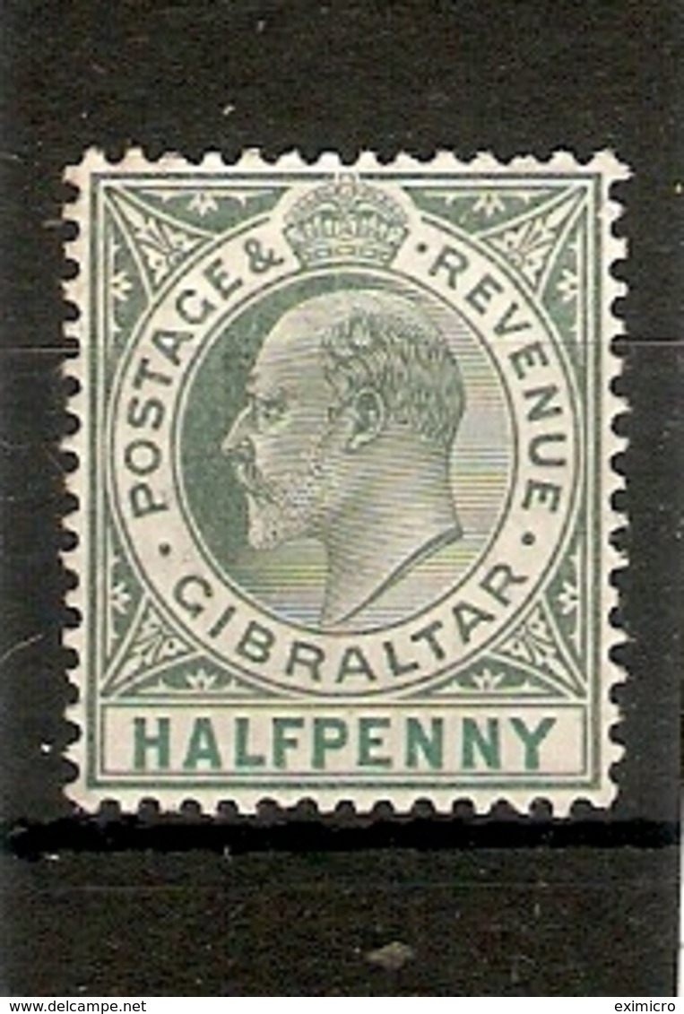 GIBRALTAR 1904 ½d DULL AND BRIGHT GREEN SG 56 WATERMARK MULTIPLE CROWN CA, ORDINARY PAPER, MOUNTED MINT Cat £23 - Gibraltar