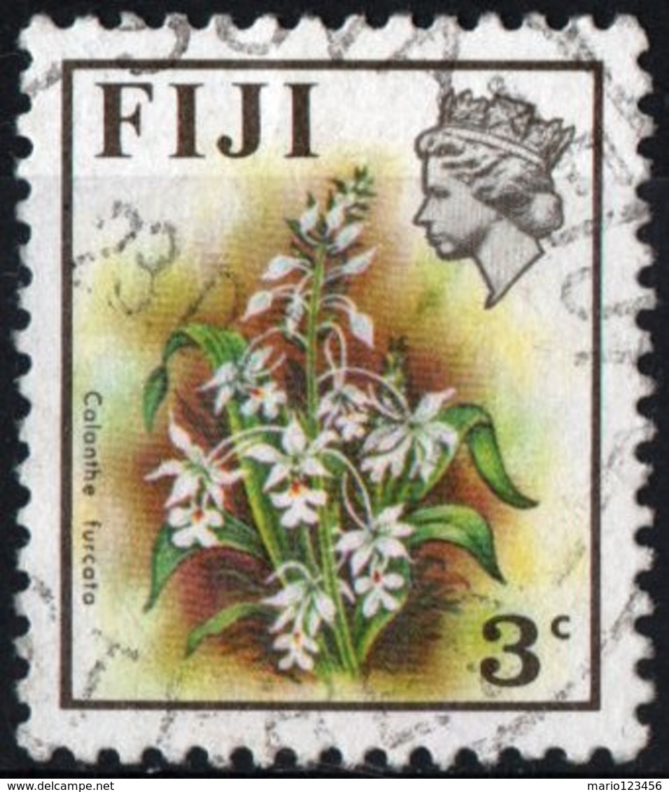 FIJI, FLORA, ORCHIDEE, CALANTHE FURCATA, 1972, FRANCOBOLLI USATI  Michel 278X   Scott 307 - Fiji (1970-...)