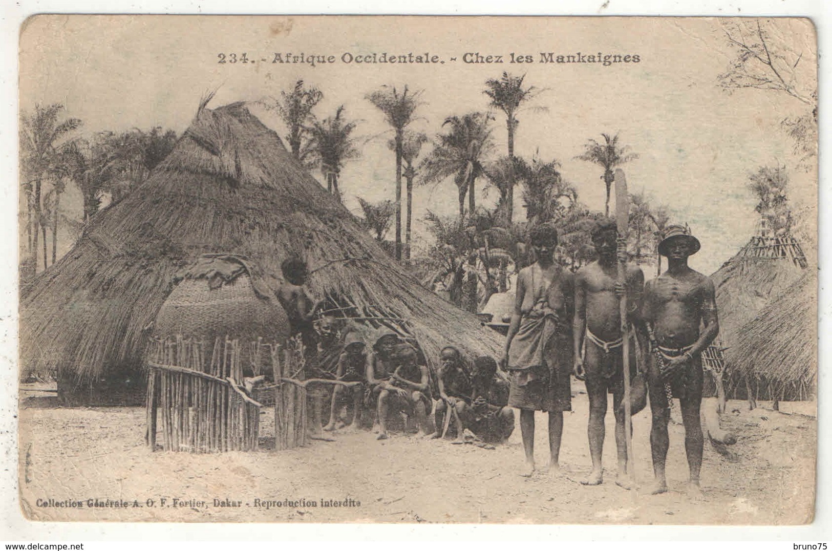 Afrique Occidentale - Chez Les Mankaignes - Fortier 234 - Senegal