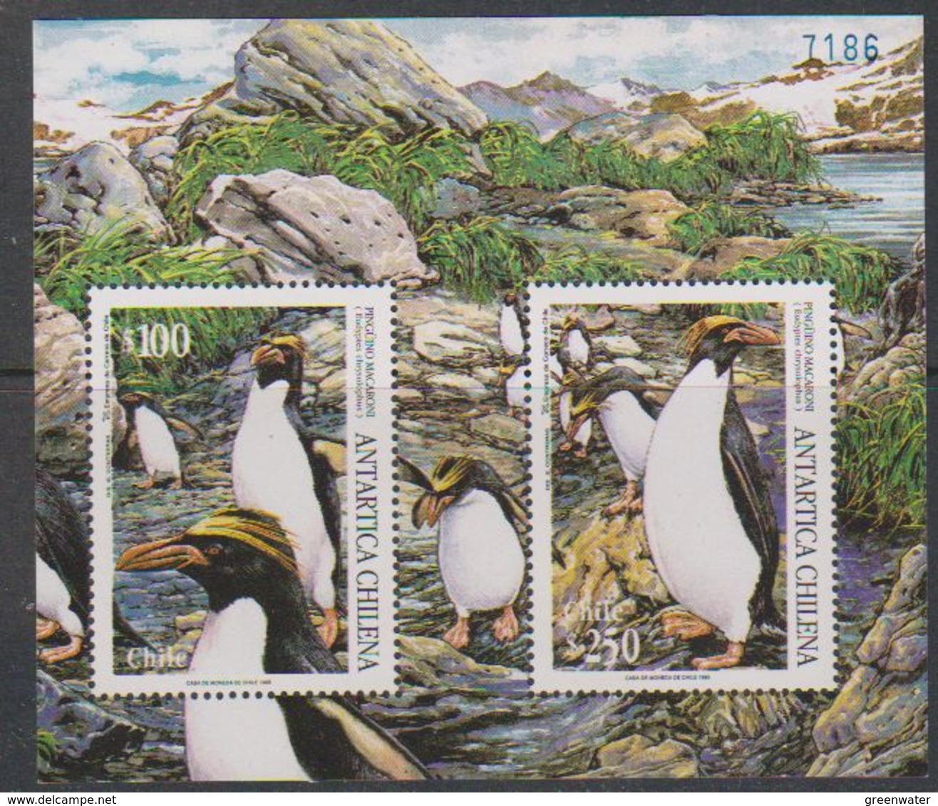 Chile 1995 Penguins M/s ** Mnh (39806) - Chili