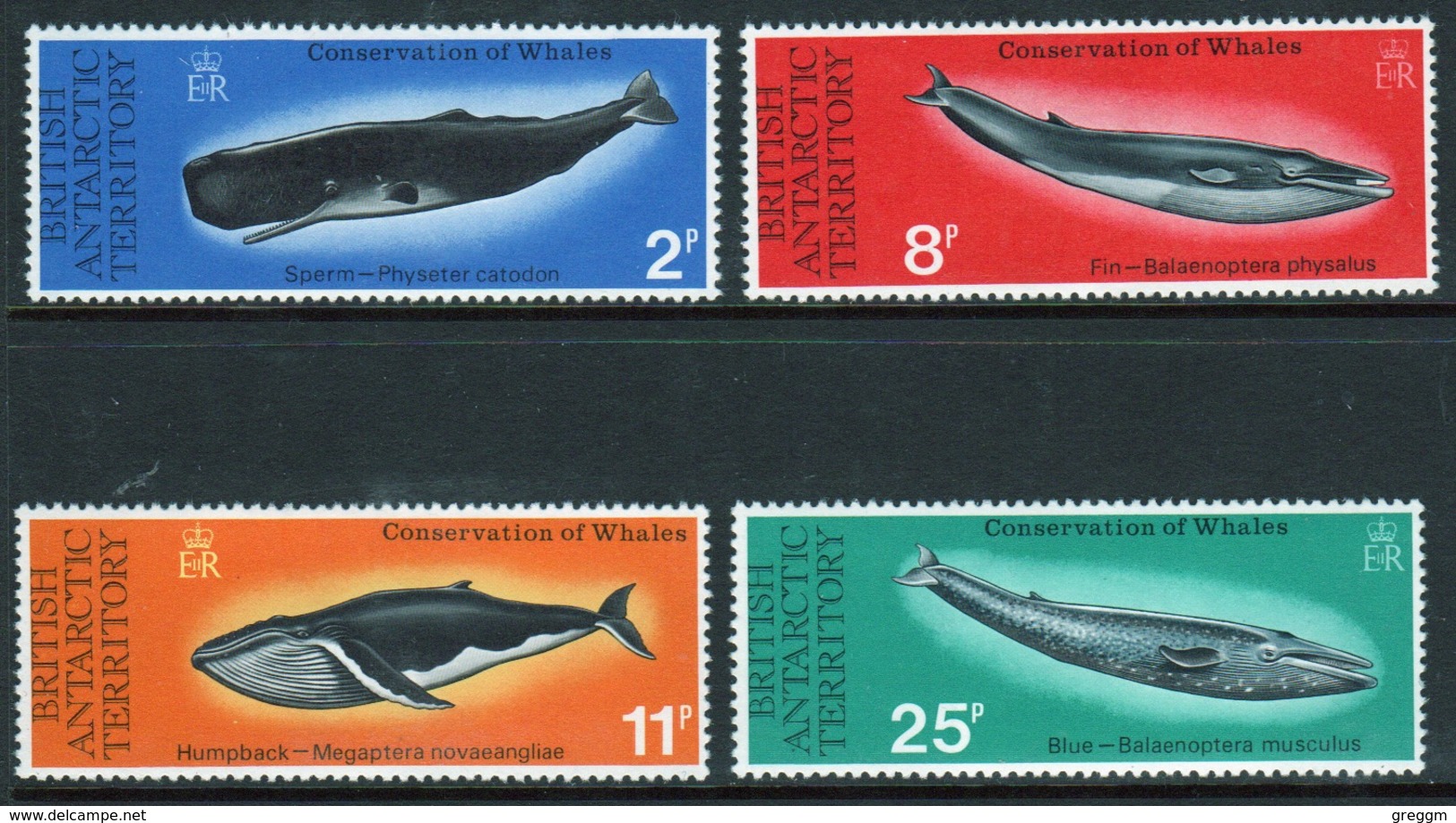 British Antarctic Territory 1977 Set Of Stamps To Celebrate Whale Conservation. - Unused Stamps