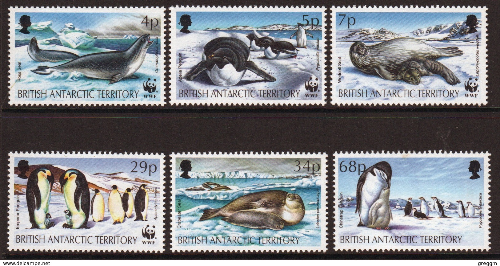 British Antarctic Territory 1992 Set Of Stamps To Celebrate Endangered Species, Seals And Penguins. - Unused Stamps