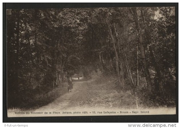 76 LES PETITES DALLES - Sous Bois , Avenue De L'imératrice D'Autriche Conduisant à Sassetot Le Mauconduit - Autres & Non Classés