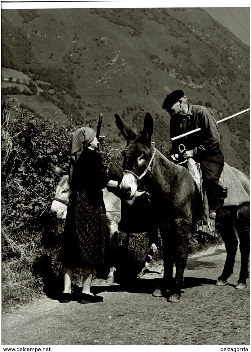 PHOTOGRAPHIE ORIGINALE VALLEE D'ASPE Près De BEDOUS De 1963 PAYSANS,ANES  ( Une Rencontre ) SUPERBE CLICHE, VOIR SCANS - Lieux