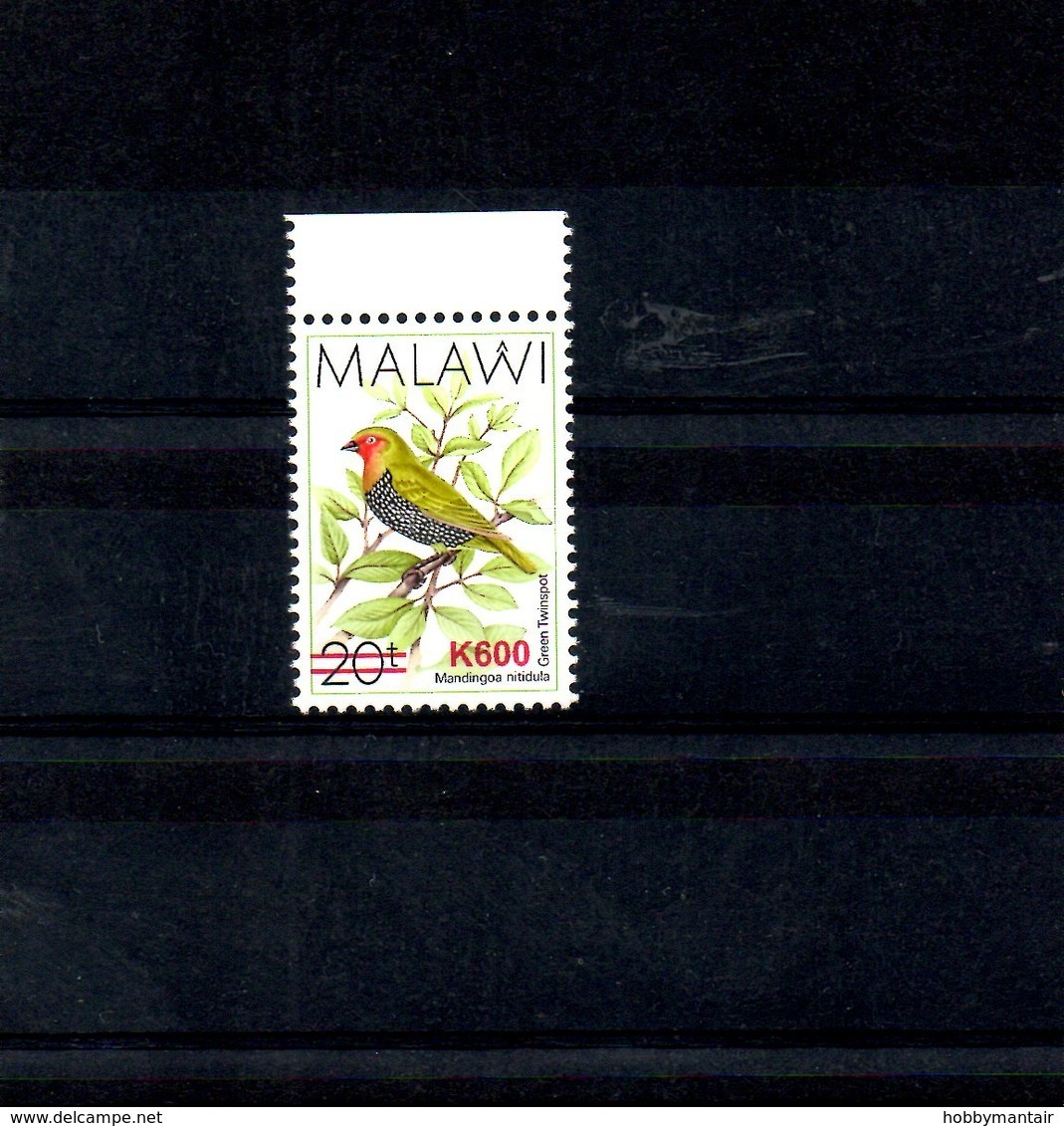 MALAWI, 2018, BIRD, O/P, NEW VALUE, "600" 1v. MNH** NEW! - Autres & Non Classés