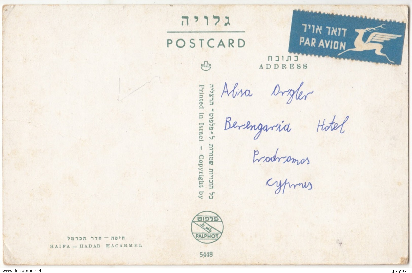 Israel, HAIFA, Hadar Hacarmel, Used Postcard [21614] - Israel