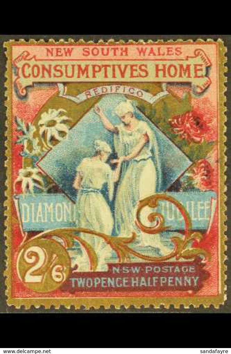 NEW SOUTH WALES 1897 2½d (2s6d) Diamond Jubilee "Consumptives Home", SG 281, Fine Mint. For More Images, Please Visit Ht - Sonstige & Ohne Zuordnung