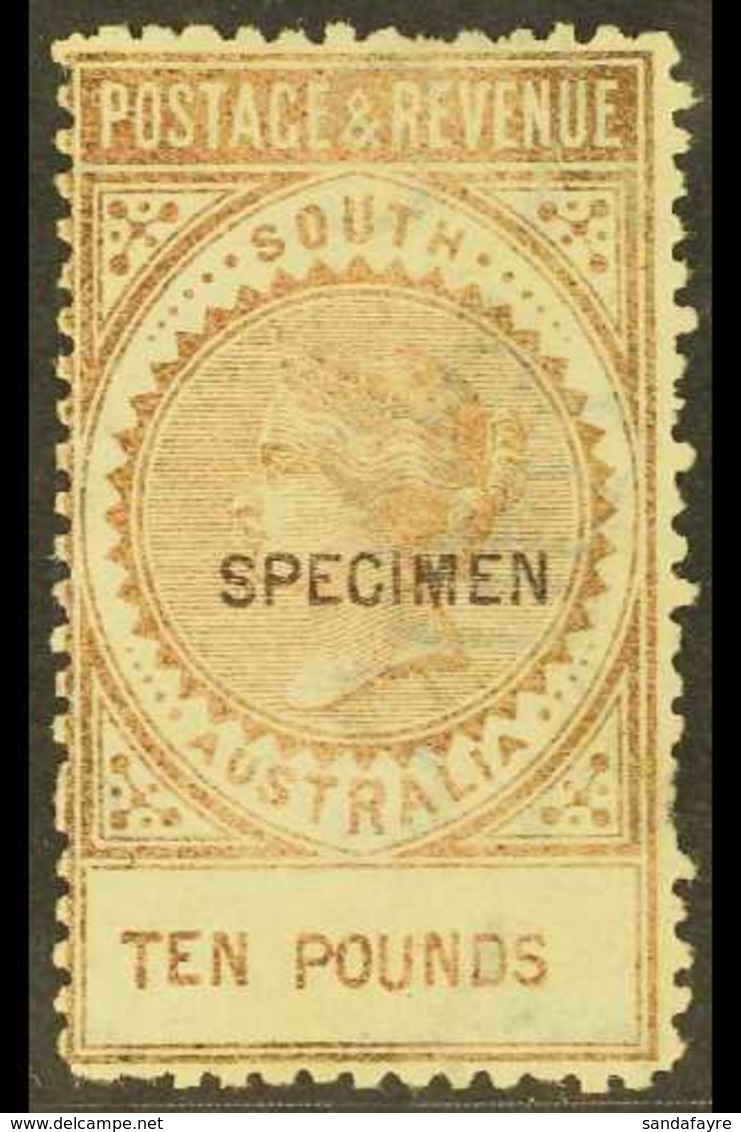 SOUTH AUSTRALIA 1886-96 £10 Bronze, Perf 11½-12, With "SPECIMEN" Overprint, SG 206as, Unused Without Gum. For More Image - Autres & Non Classés