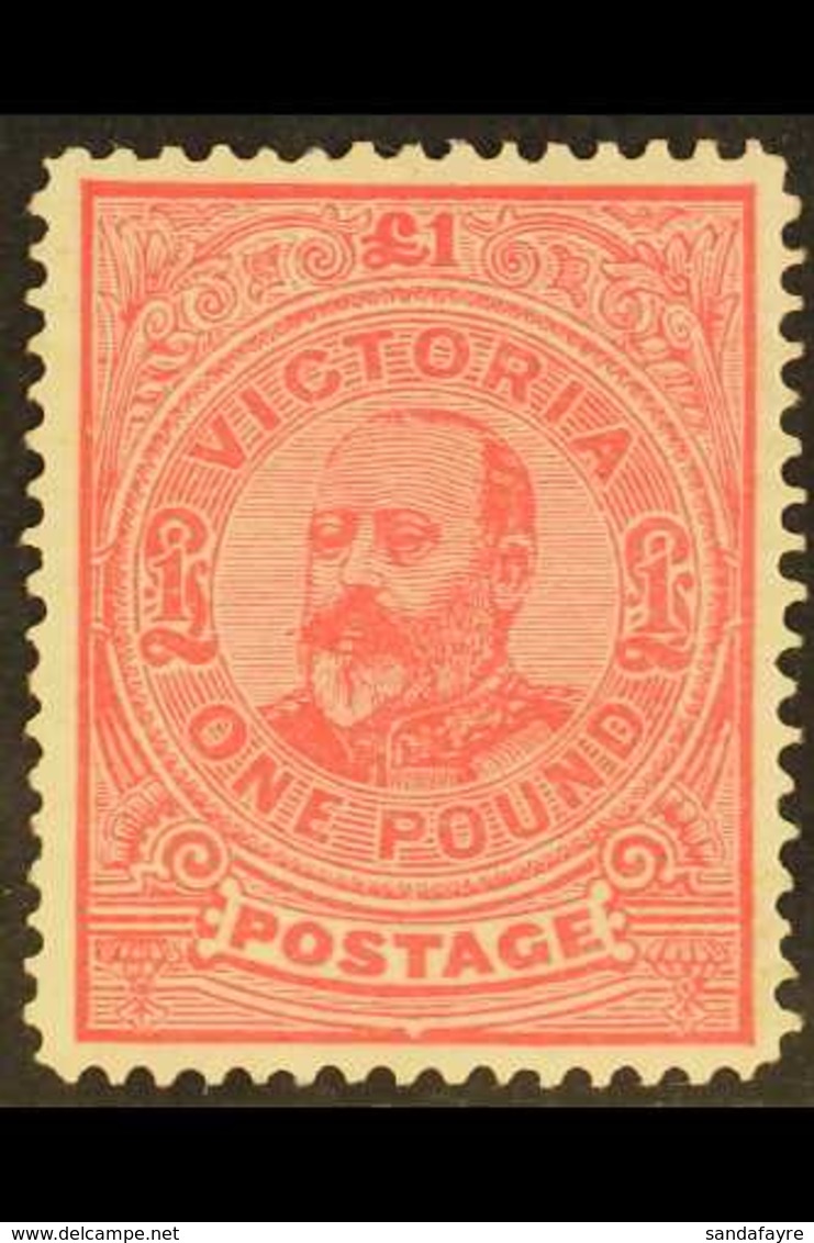 VICTORIA 1901-10 £1 Carmine-rose KEVII Perf 12½, SG 399, Fine Mint, Good Centering, Very Fresh & Attractive. For More Im - Sonstige & Ohne Zuordnung