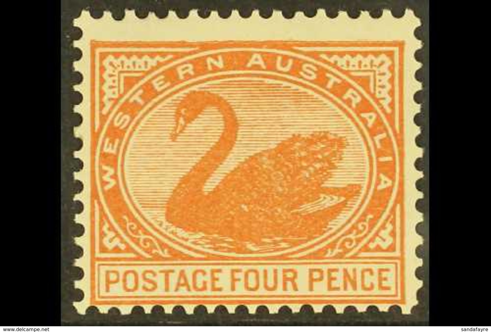 WESTERN AUSTRALIA 1902-11 4d Chestnut, Perf 12½, SG 119, Never Hinged Mint. For More Images, Please Visit Http://www.san - Sonstige & Ohne Zuordnung