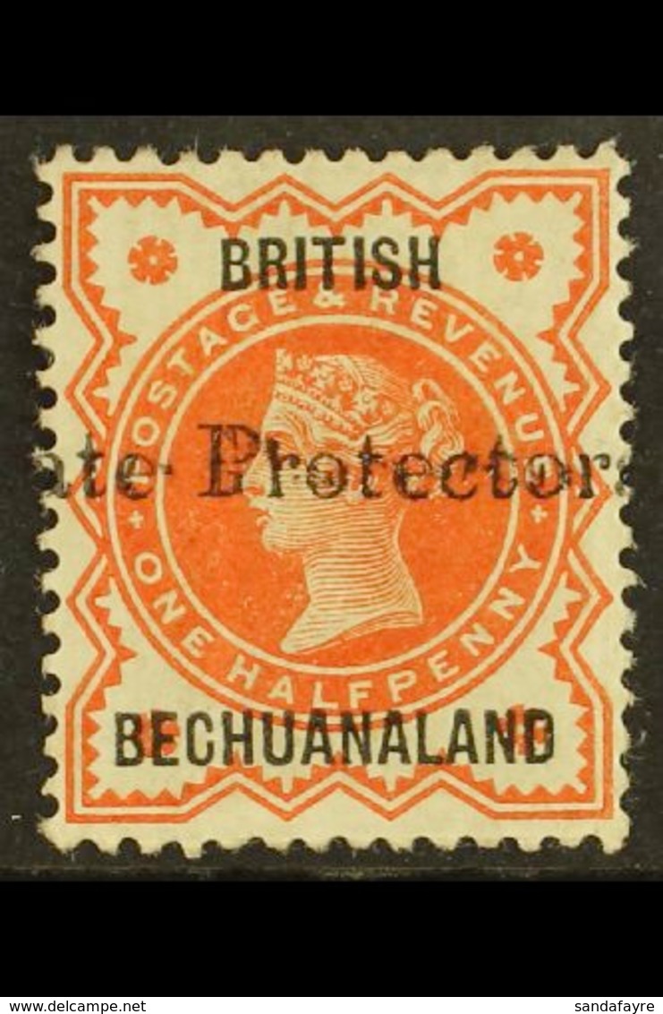 1890 ½d Vermilion With 19mm "Protectorate" Overprint, SG 55, Fine Mint. For More Images, Please Visit Http://www.sandafa - Sonstige & Ohne Zuordnung