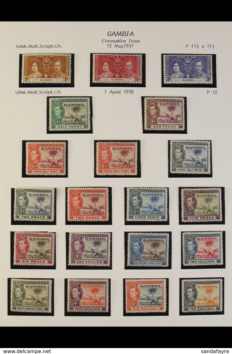 1937-49 KGVI FINE MINT COLLECTION. A Complete Basic Run, SG 147/169, Presented In Mounts On Album Pages. Lovely! (25+ St - Gambie (...-1964)