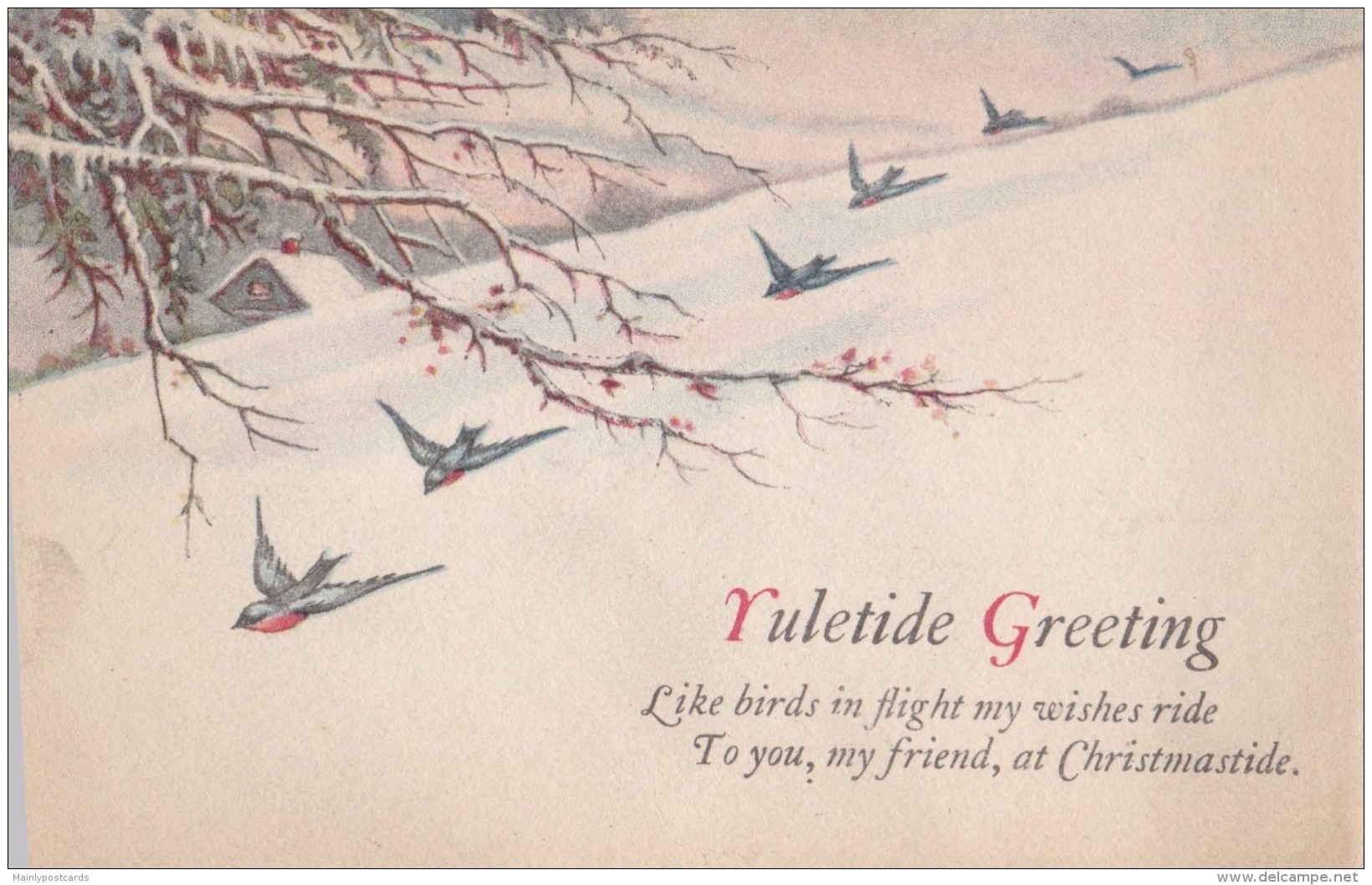 AR69 Greetings - Yuletide Greeting - Snow, Birds - Other & Unclassified