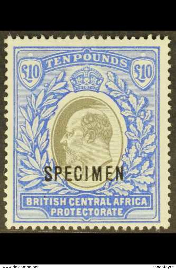 1903-04 £10 Grey And Blue Opt'd "SPECIMEN", SG 67s, Mint Part OG, Very Fresh And Attractive. For More Images, Please Vis - Nyassaland (1907-1953)