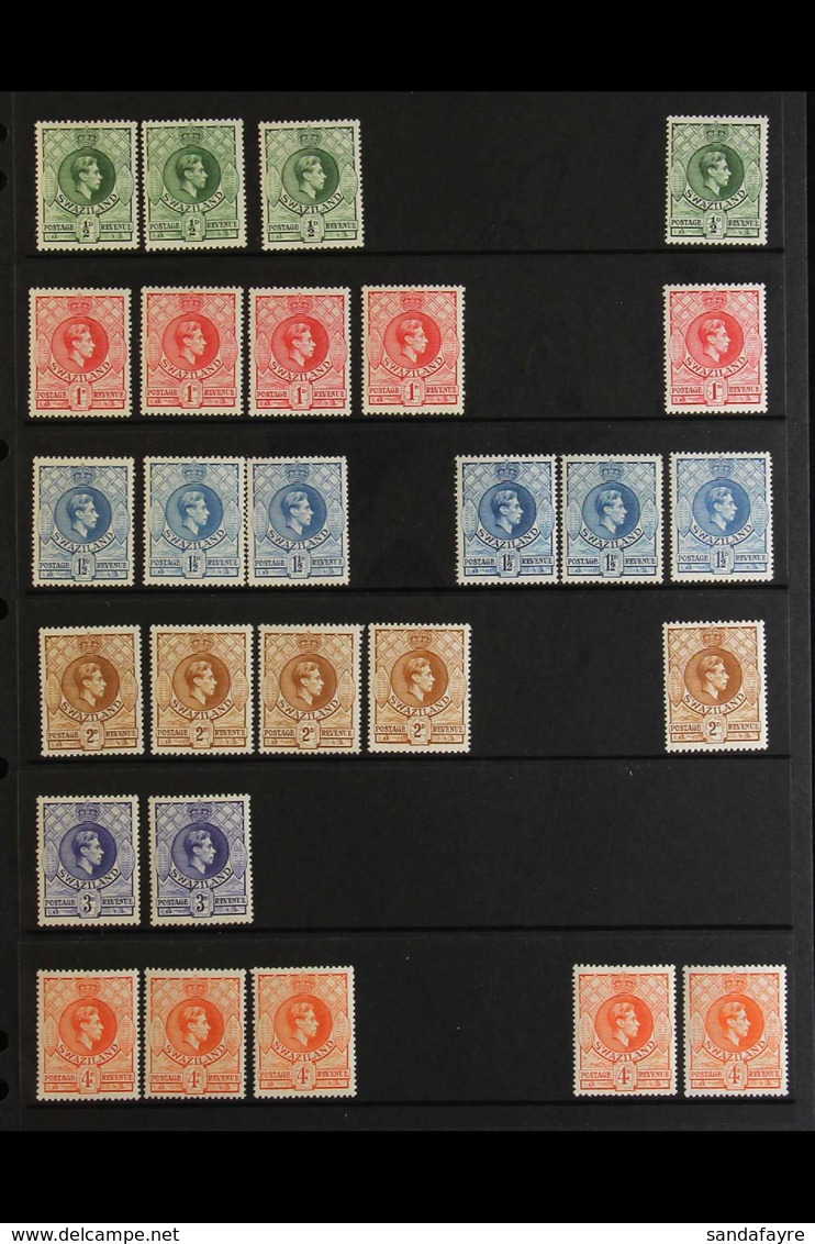1938-54 MINT / NHM DEFINITIVE HOARD Presented On A Pair Of Stock Pages With Shade & Perforation Variants. Includes Two C - Swaziland (...-1967)