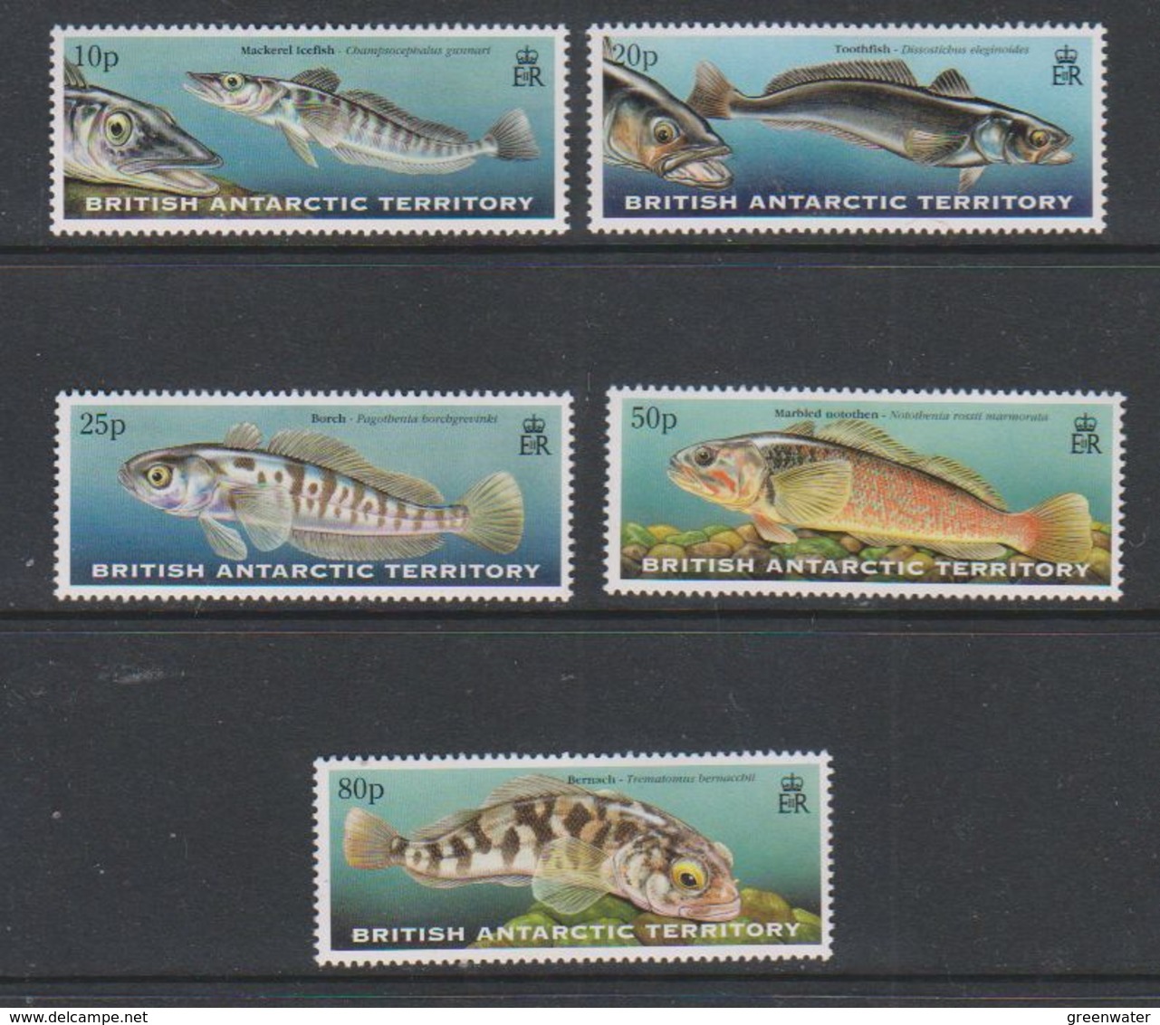 British Antarctic Territory 1999 Fish Of The Southern Ocean 5v  ** Mnh (39815E) - Ongebruikt