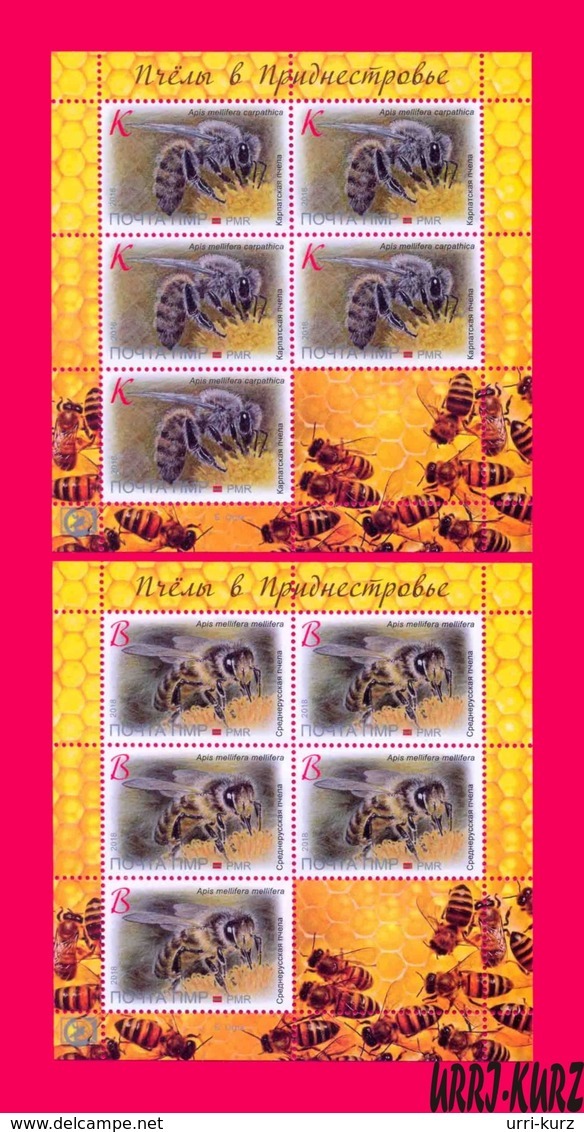 TRANSNISTRIA 2018 Nature Fauna Insects Bees Bee On Flower 2 Sheetlets MNH - Abejas