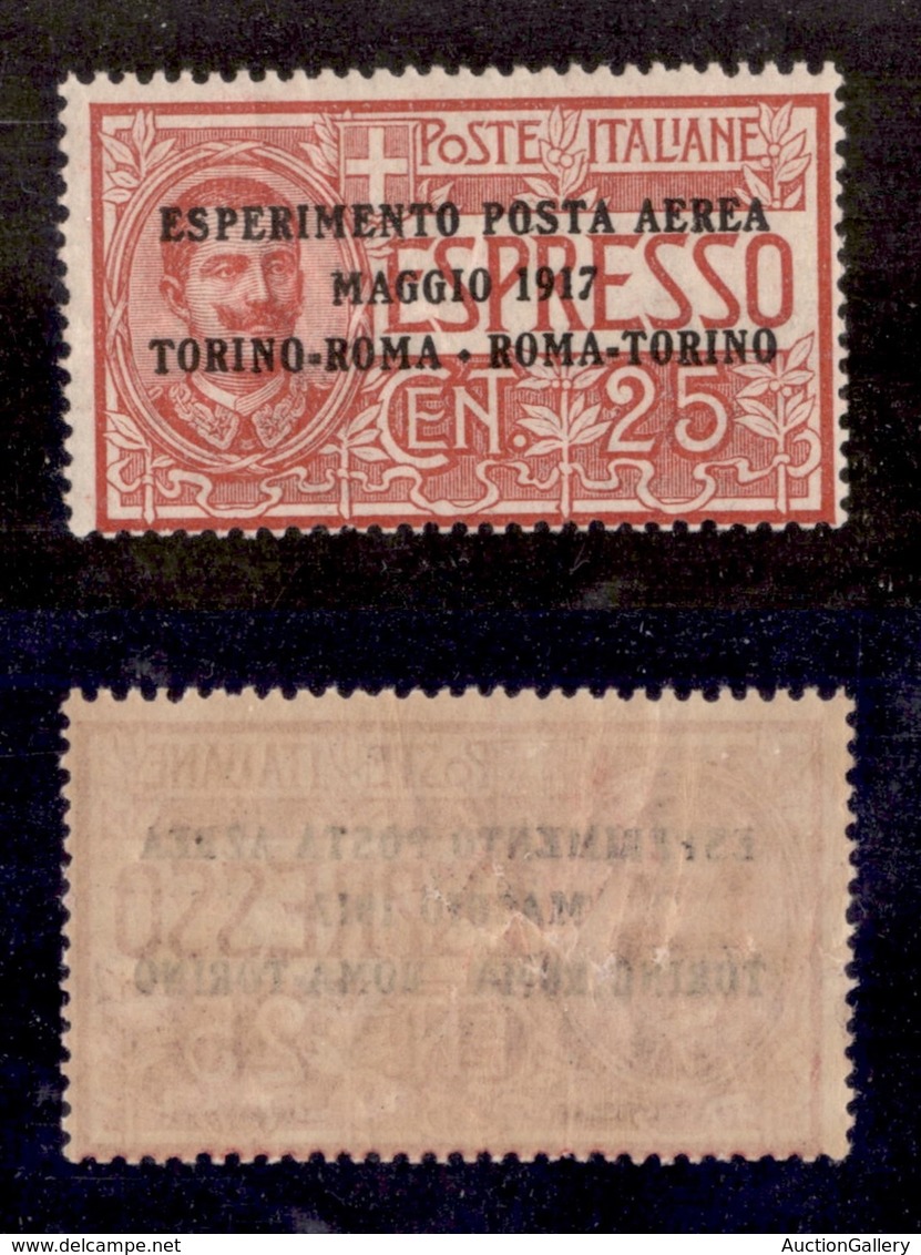 21156 REGNO D'ITALIA - POSTA AEREA - 1917 - 25 Cent Torino Roma (1-Aerea) - Nuovo Con Gomma (35) - Autres & Non Classés
