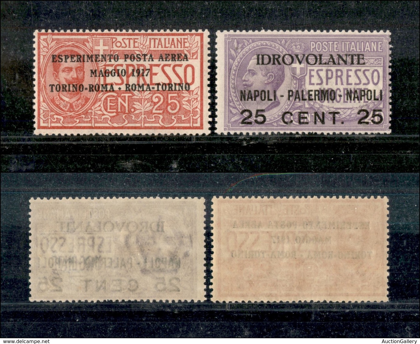 21159 REGNO D'ITALIA - POSTA AEREA - 1917 - Soprastampati Posta Aerea (1/2) - Le Prime Due Emissioni - Gomma Integra (15 - Autres & Non Classés