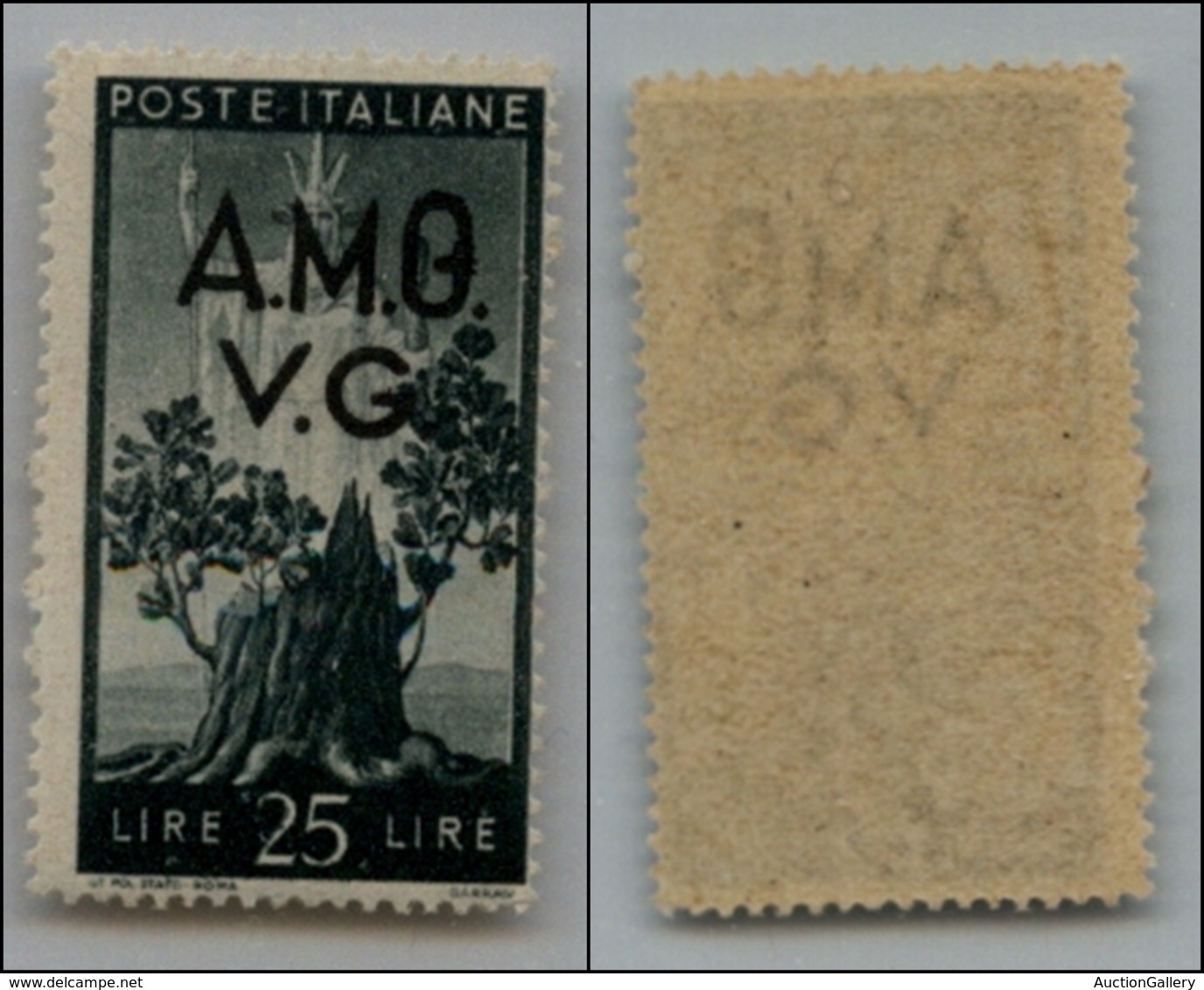 21607 TRIESTE - AMGVG - 1946 – 25 Lire (19n) – G Chiusa – Gomma Integra (70) - Andere & Zonder Classificatie
