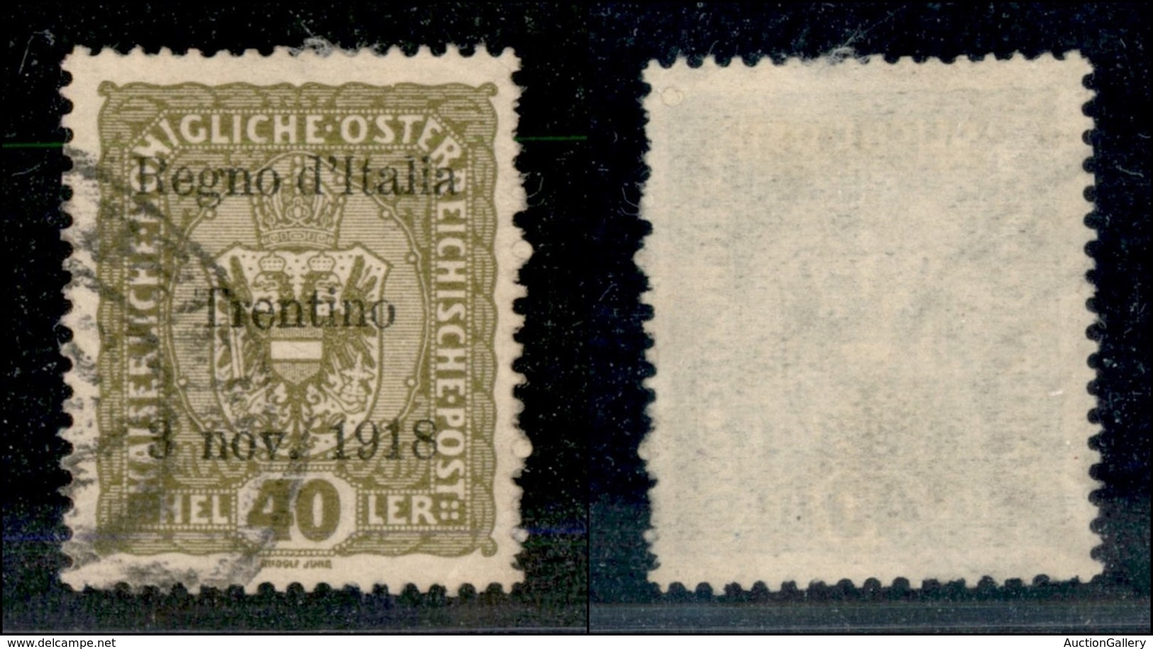 21950 OCCUPAZIONI - TRENTINO - ALTO ADIGE - 1918 - 40 Heller Soprastampato (10) - Usato (180) - Andere & Zonder Classificatie