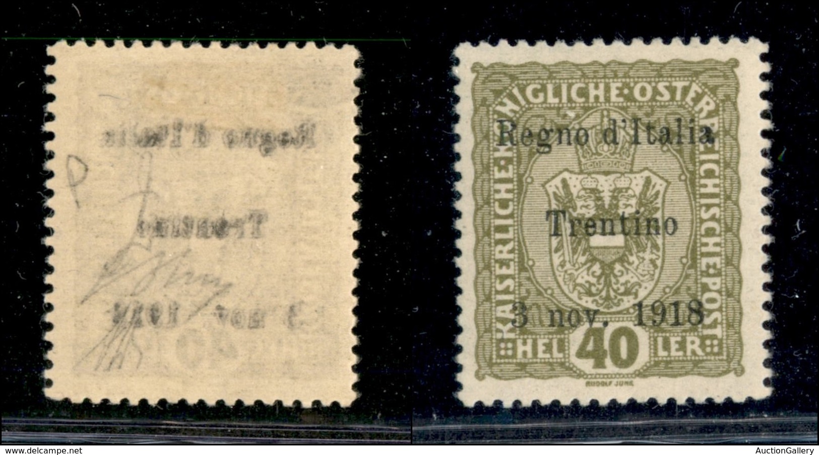 21951 OCCUPAZIONI - TRENTINO - ALTO ADIGE - 1918 - 40 Heller (10g) Con Leggero Decalco - Gomma Originale Con Leggera Tra - Sonstige & Ohne Zuordnung