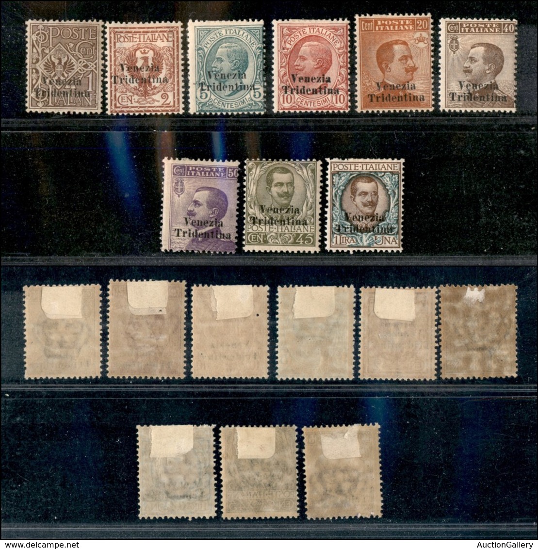 21954 OCCUPAZIONI - TRENTINO - ALTO ADIGE - 1918 – Venezia Tridentina (19/27) – Serie Completa – Gomma Originale (1.100) - Autres & Non Classés