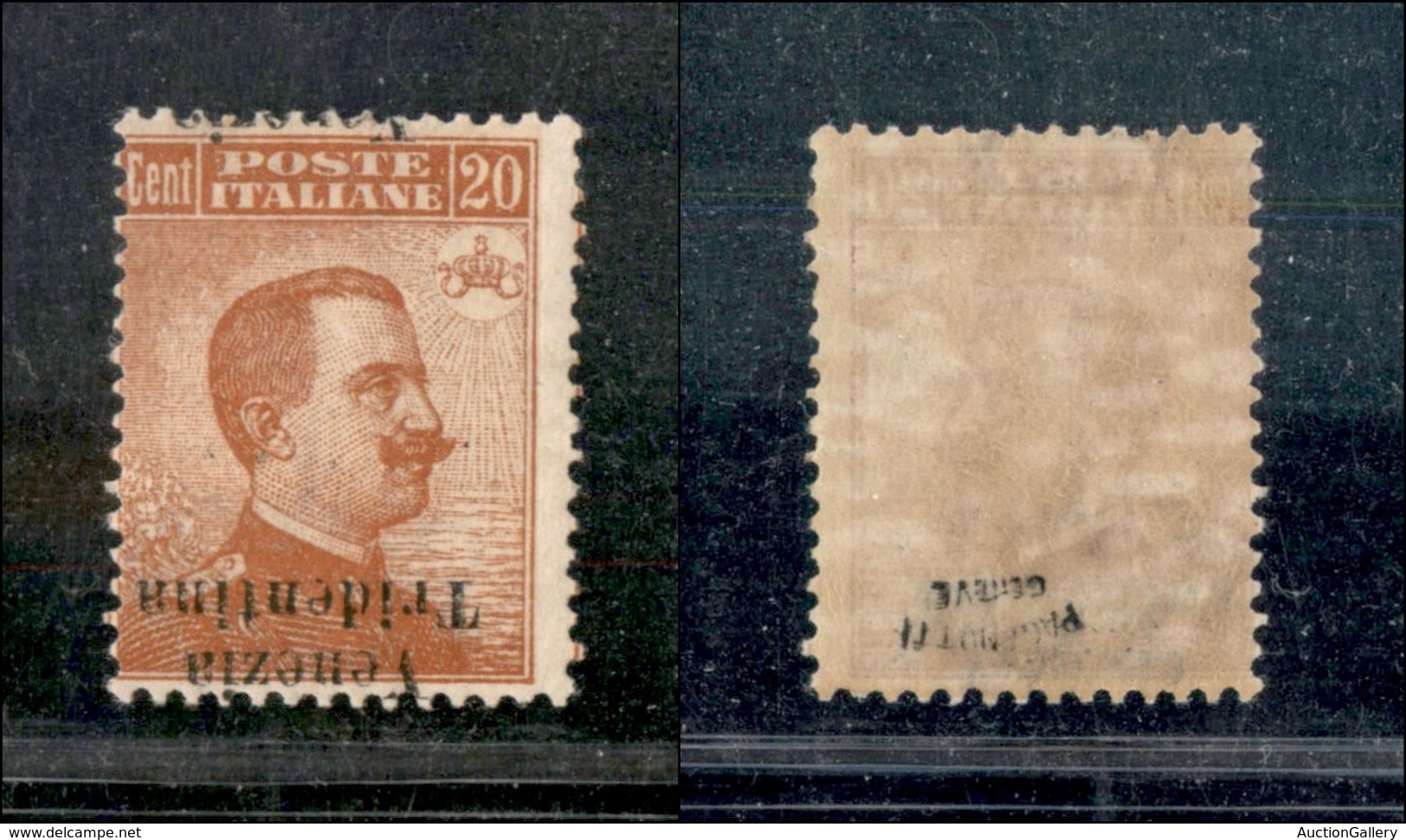 21967 OCCUPAZIONI - TRENTINO - ALTO ADIGE - 1918 - 20 Cent Michetti (23aa) Soprastampa Capovolta Ripetuta A Cavallo - Nu - Andere & Zonder Classificatie