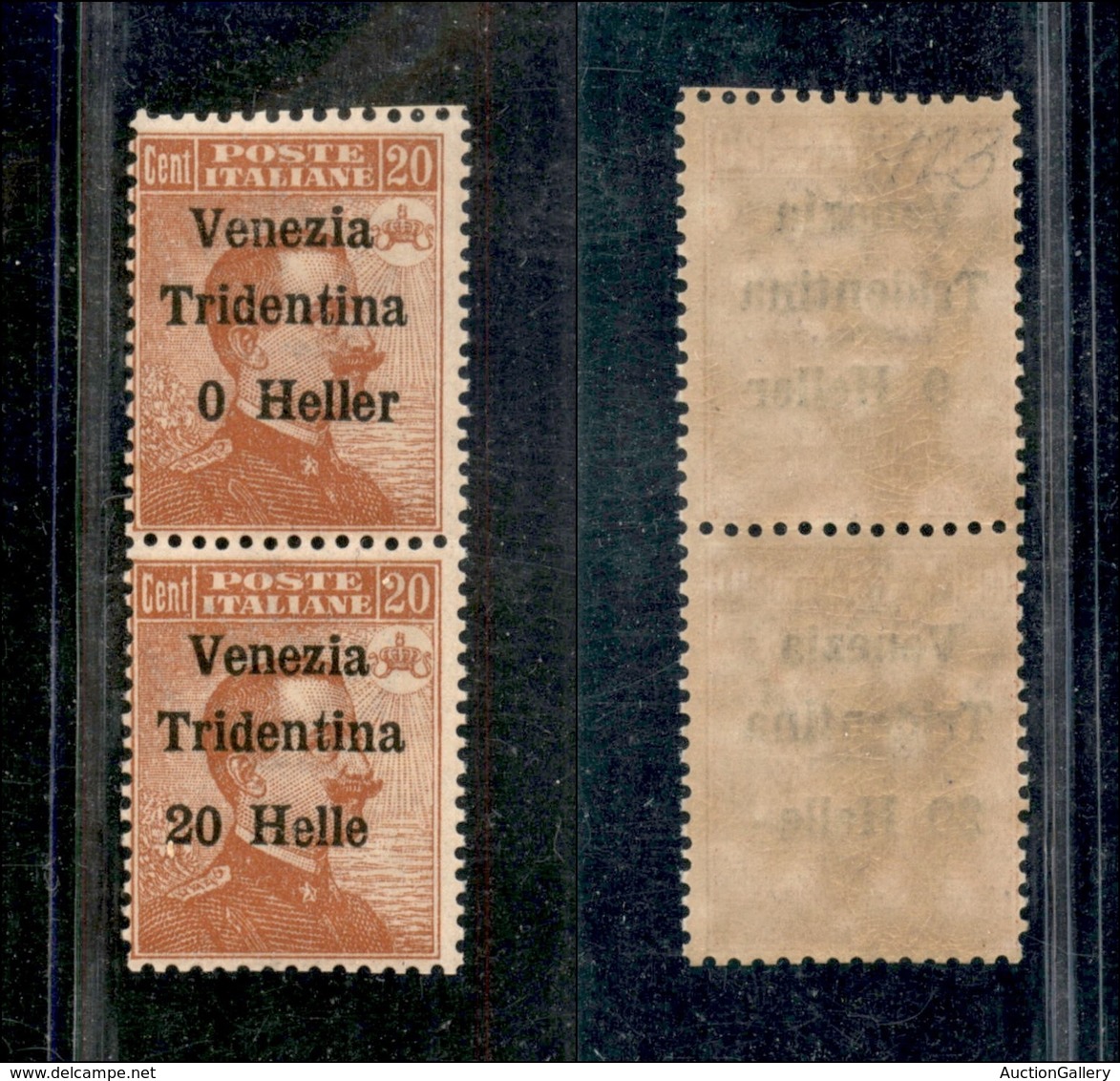 21972 OCCUPAZIONI - TRENTINO - ALTO ADIGE - 1918 - Coppia Verticale Del 20 Heller Su 20 Cent Michetti (30c+30d) Errori " - Autres & Non Classés