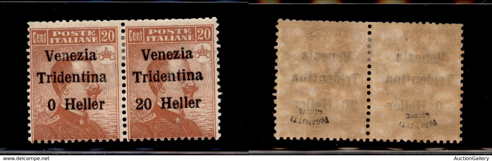 21976 OCCUPAZIONI - TRENTINO - ALTO ADIGE - 1918 - Coppia Orizzontale Del 20 Heller Su 20 Cent Michetti (30c+30) Senza " - Sonstige & Ohne Zuordnung