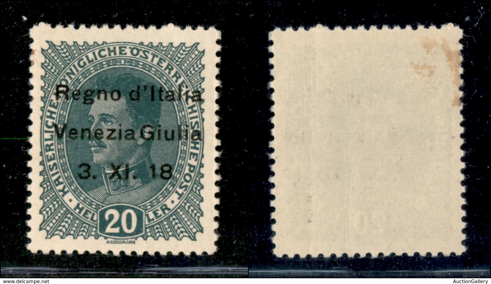 21983 OCCUPAZIONI - VENEZIA GIULIA - 1918 - 20 Heller (7k) Senza Punto Dopo 18 - Gomma Originale (40) - Autres & Non Classés