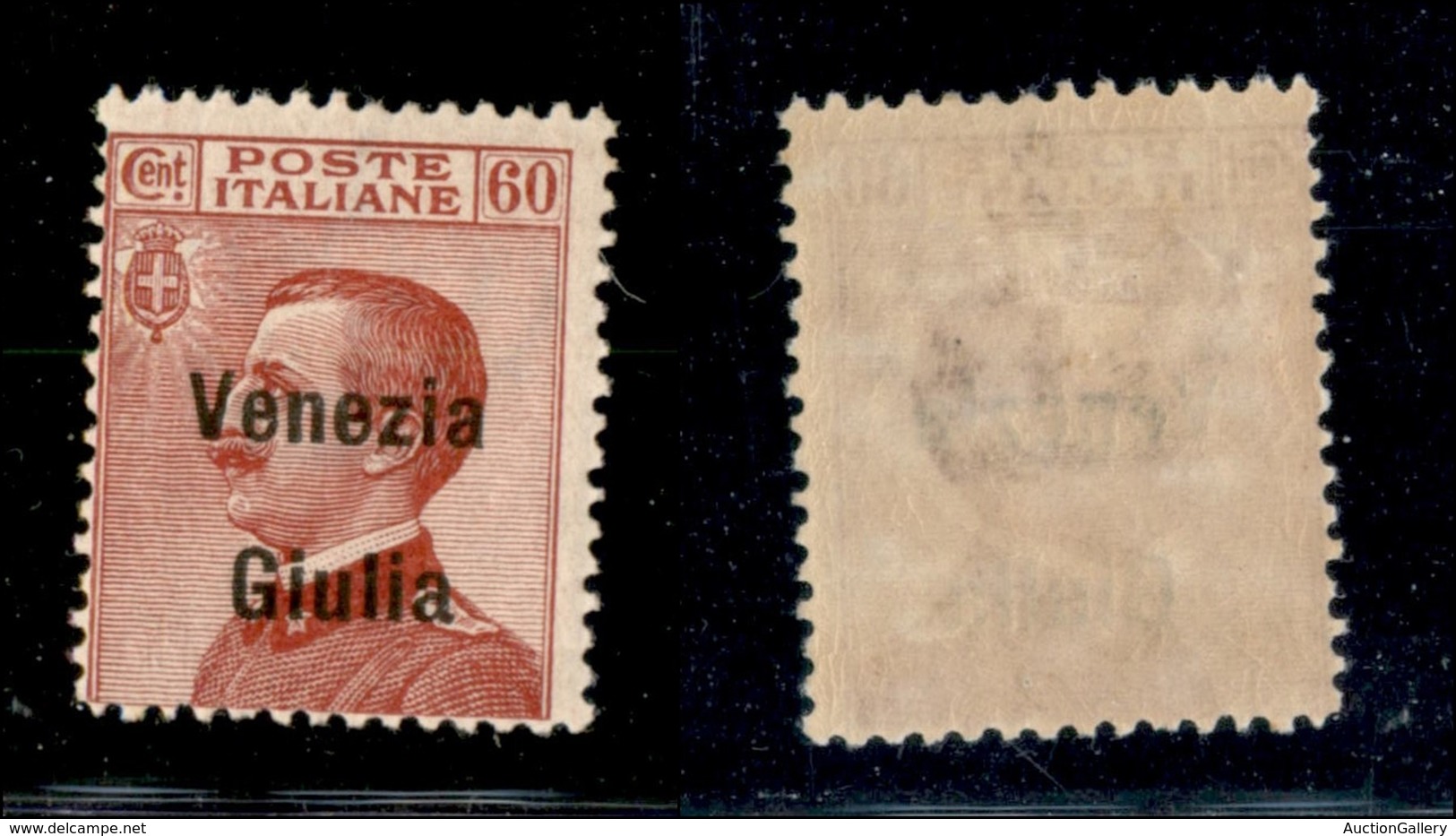 21993 OCCUPAZIONI - VENEZIA GIULIA - 1918 - 60 Cent (28) - Gomma Originale (240) - Autres & Non Classés